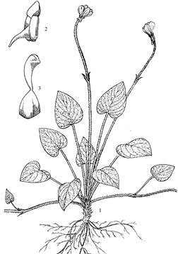 120
