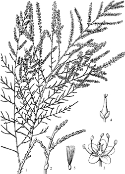 125