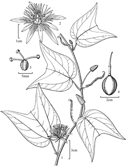130