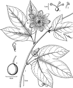 133
