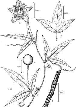135