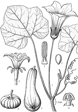 150
