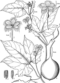 153