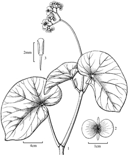 180