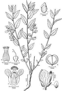 1880