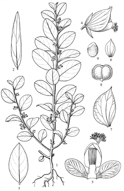 1884