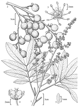 1892