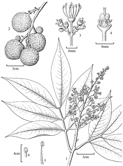1893