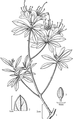 251