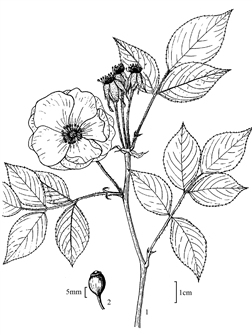 410