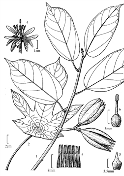 46