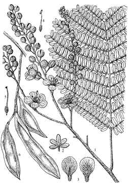 490