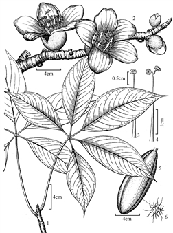 53