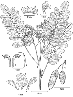 661