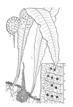 6803
