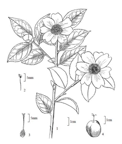 7178