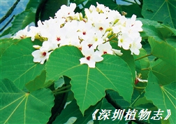 1030