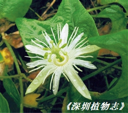 130