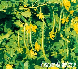 508
