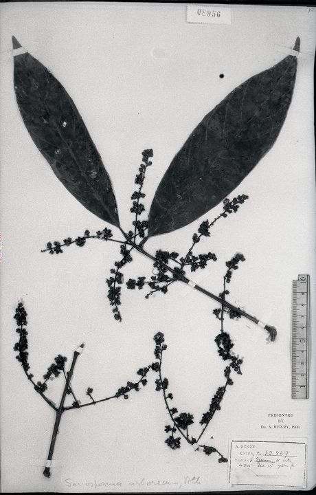 点击查看大图