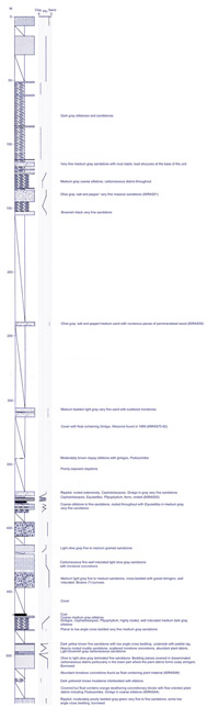 reduced size section of locality 85JTP05