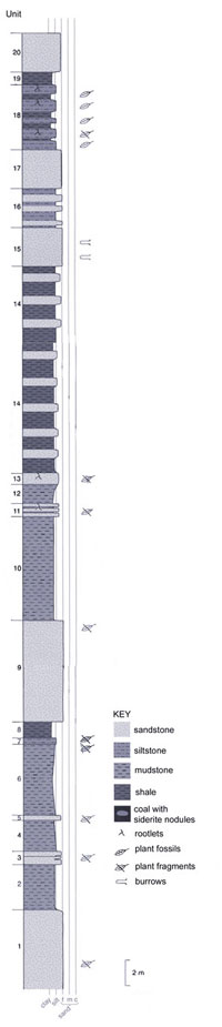 reduced size log of Kukpowruk 11