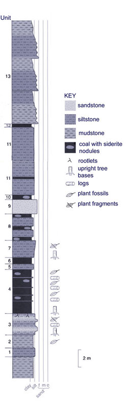 reduced size section of locality  Kukpowruk 2