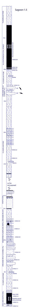 reduced size log of Sagwon section 1.5