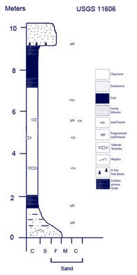reduced size log of locality USGS11606