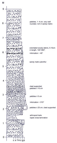 reduced size log of Arman River section 008