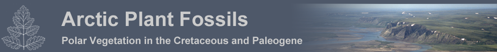 Website Banner