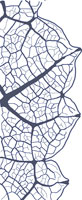drawing of an urticoid tooth