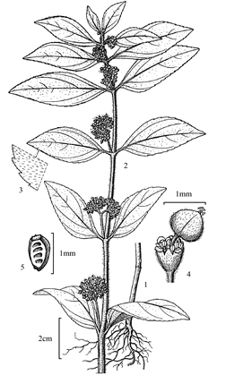 1051