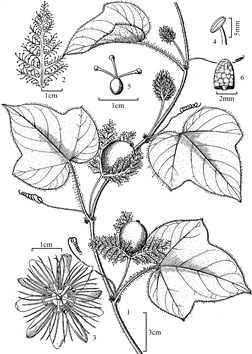 131