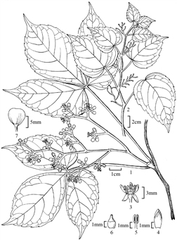 1858