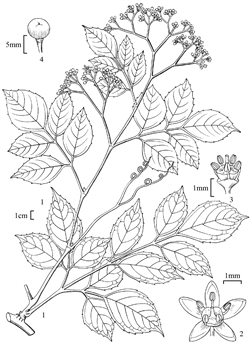 1859