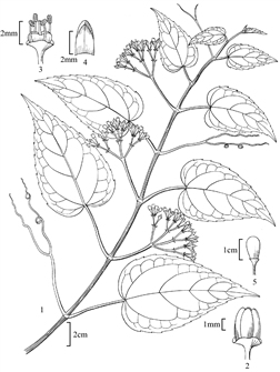 1863