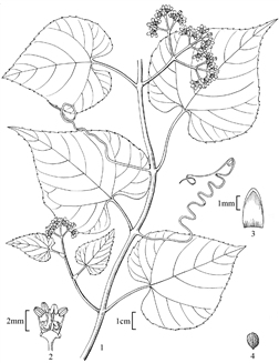 1864