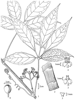 1866