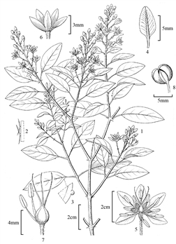 1871