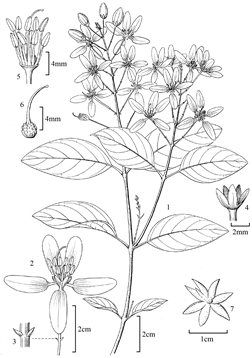 1874