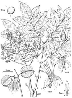 1890
