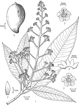 1901
