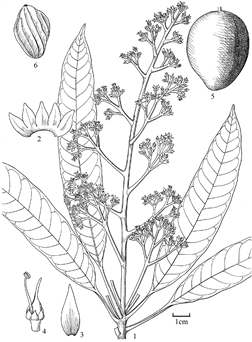 1902