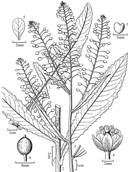 203