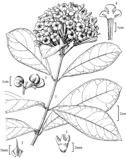 2410