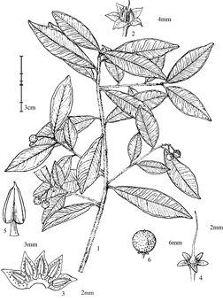 315