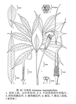 4208