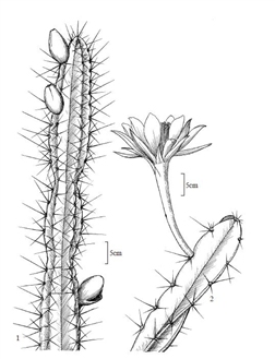 7101