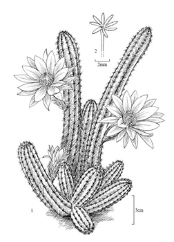 7108